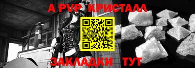 PSILOCYBIN Кинель