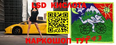 PSILOCYBIN Кинель