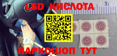 PSILOCYBIN Кинель
