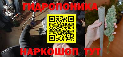PSILOCYBIN Кинель